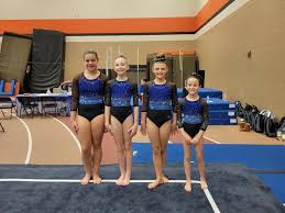 Image result for Blandford Forum Gymnastics & Kanga Club