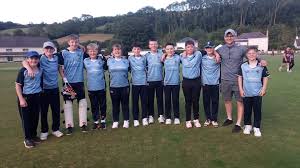 Image result for Bronwydd Cricket Club