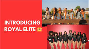 Image result for Platinum Majorettes