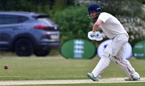 Image result for Basingstoke & North Hants Cricket Club
