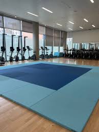 Image result for Edinburgh Jitsu Club