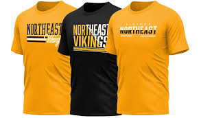 Image result for North East Vikings