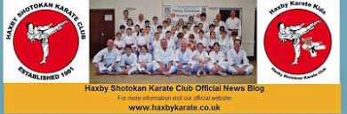 Image result for Haxby karate club