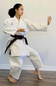 Image result for Shitokai Karate Club