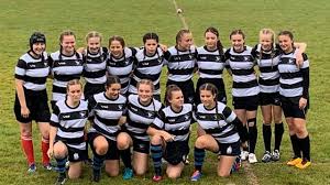 Image result for pulborough netball club