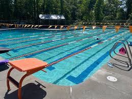 Image result for Link Leisure