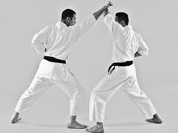 Image result for Jodan Karate