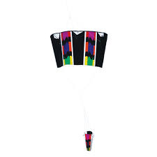 Image result for Baiter Power Kite