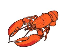 Attēlu rezultāti vaicājumam “Crustacea”