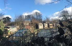 Image result for North London Bowling Club