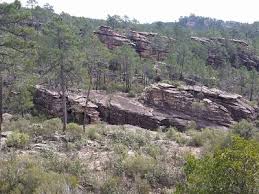 Image result for "Selva Pascuala"