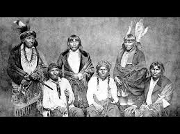 Image result for seotonie