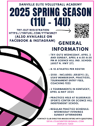 Image result for Deva Handball Club