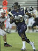 FIU Golden Panthers Prowl