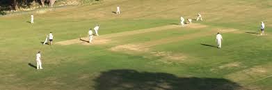 Image result for Aston Rowant Cricket Club