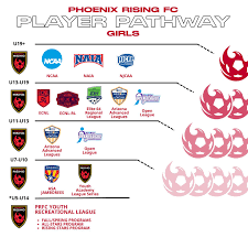 Image result for Phoenix Youth Sc