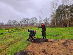 Image result for Priona Tuinen