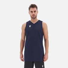 Image result for Deva Handball Club