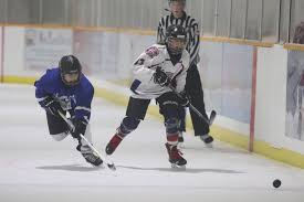 Image result for Pontypool Skater Hockey Club