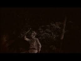 「ソル・ジャクソン」の画像検索結果