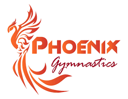 Image result for Phoenix Gymnastics