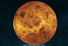 Image result for venus