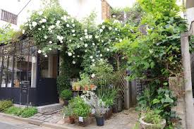 「アイスバーグ」の画像検索結果