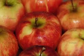 Attēlu rezultāti vaicājumam “Briza media fruit”