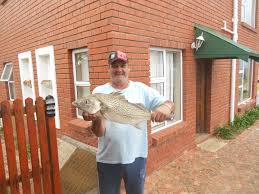 Image result for Pomadasys commersonnii