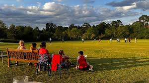 Image result for Ewhurst Stoolball Club