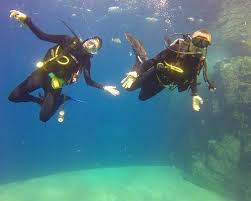 Image result for Manta Divers Sub-Aqua Club