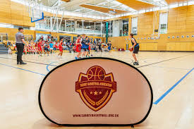 Image result for Surrey Spitfires Basketball Club