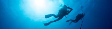 Image result for Blue Water Diving