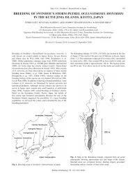 Image result for Oceanodroma monorhis