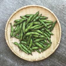 Attēlu rezultāti vaicājumam “Vicia faba”