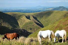 Image result for Long Mynd