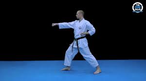 Image result for Junsui Shotokan Karate Do