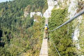 Image result for PONT DE SINGE