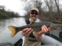 Image result for Mylopharodon conocephalus