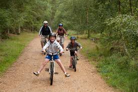 Image result for Epping Forest Mountain Bike Club