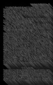 Attēlu rezultāti vaicājumam “Pachyphloeus melanoxanthus”