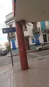 Risultati immagini per pedolesbo