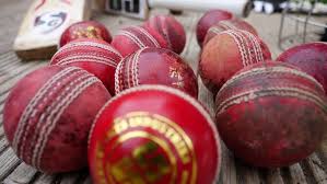 Image result for Whittington Cricket Club