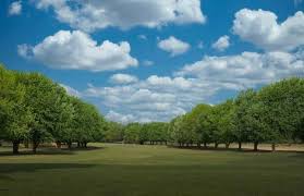 Image result for Alva Golf Club