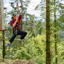 Image result for Go Ape! Whinlatter