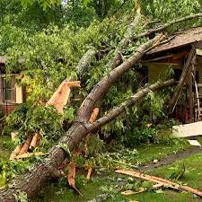 Image result for Leicester City Tornadoes