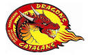 Catalans Dragons appoint Australian Trent Robinson as new coach ...
