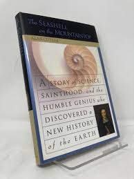 Image result for mountain top seashell