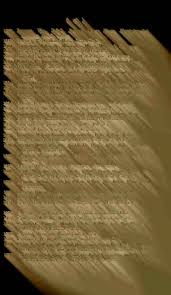 Attēlu rezultāti vaicājumam “Chlorochroa juniperina imago”