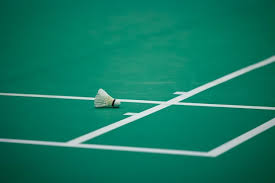 Image result for Feathers (New Milton) Badminton Club